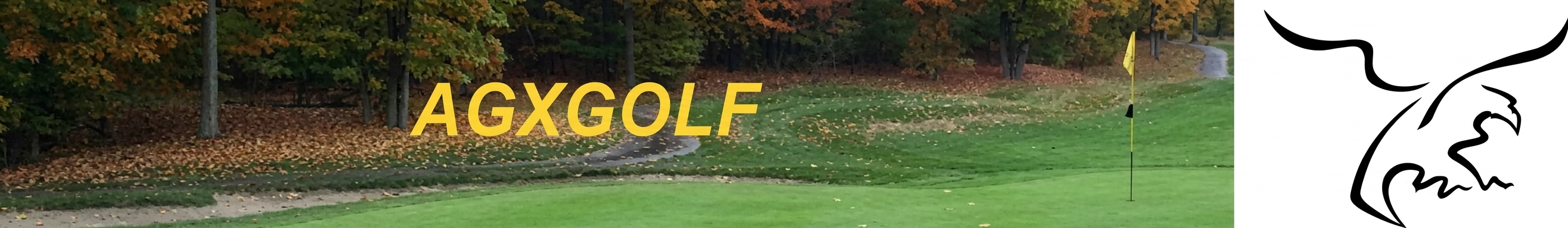 AGXGOLF.COM (810-991-1376